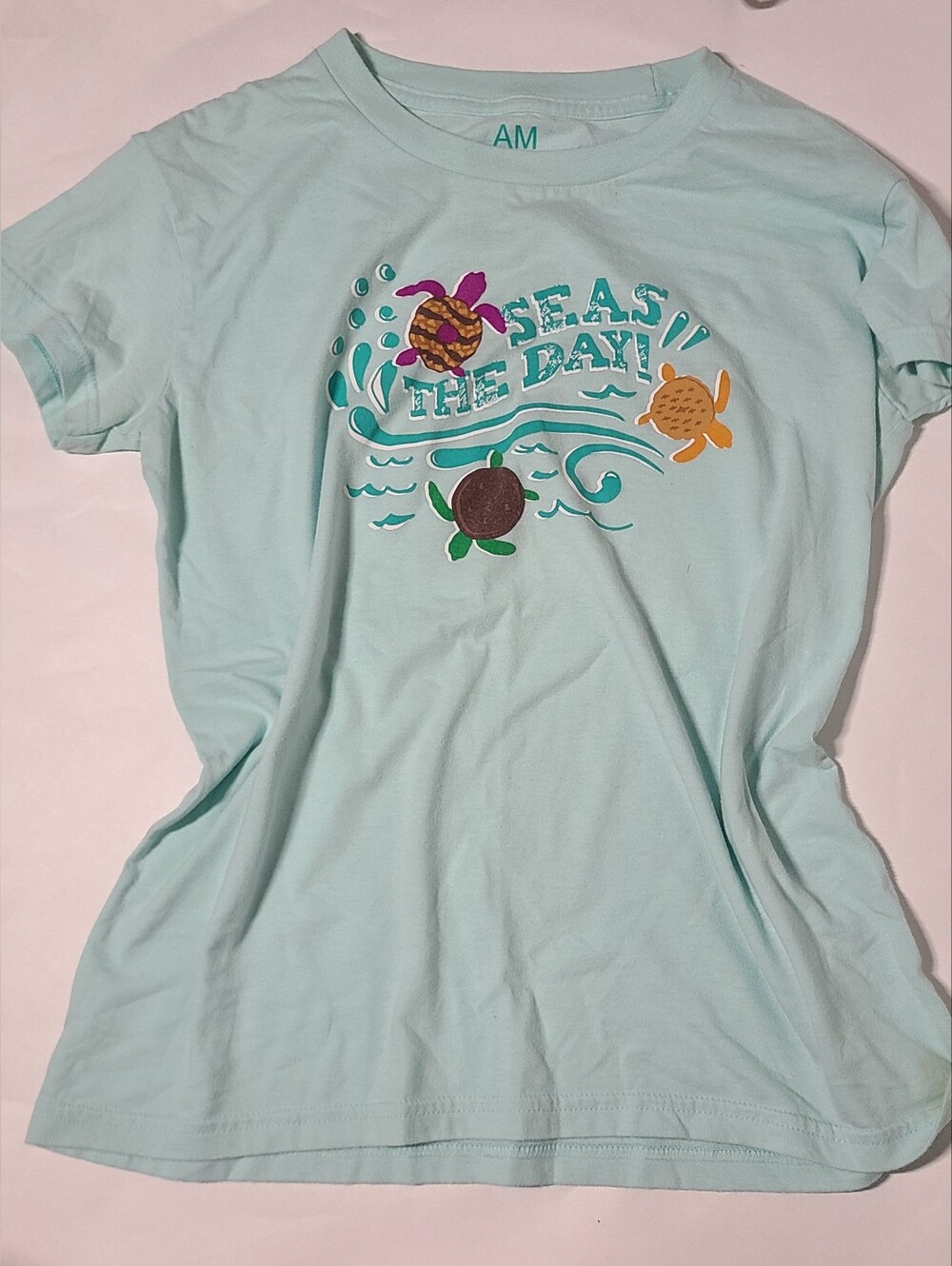 3for10 -  If Bundle Over $10 - Womens Light Aqua "Seas the Day" Swim Tee